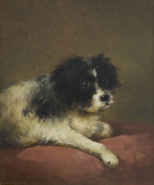 Schelfhout A.  | Portret van een hondje liggend op een rood kussen, olieverf op paneel 32,1 x 27,3 cm, gesigneerd l.o. en gedateerd '47